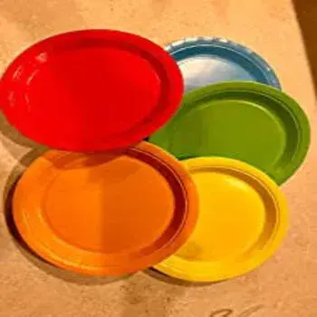 Recyclable Disposable Plastic Plate