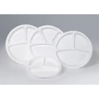White Disposable Plastic Plate
