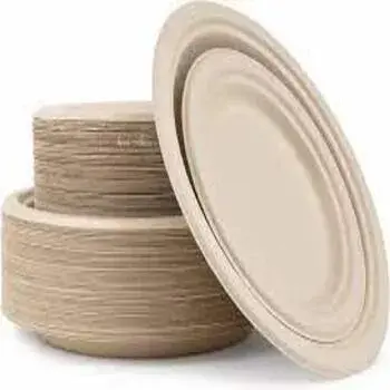  Good Quality Disposable Plastic Plate
