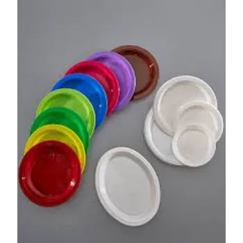 Fine Finish Disposable Plastic Plate