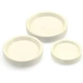 Disposable Plastic Plate