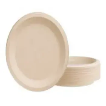 Disposable Plastic Plate
