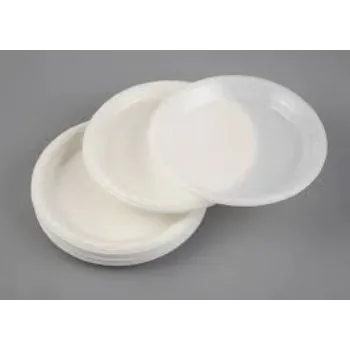 Disposable Plastic Plate