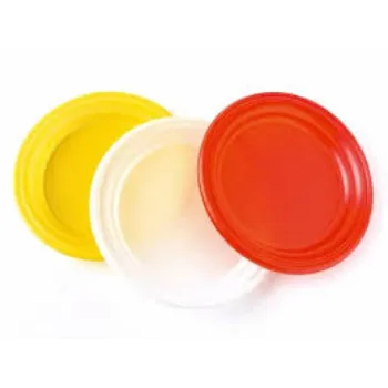 Surya Disposable Plastic Plate