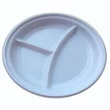 Coated Disposable Plastic Plate