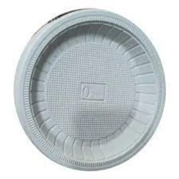Solid Disposable Plastic Plate