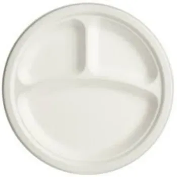Standard Disposable Plastic Plate
