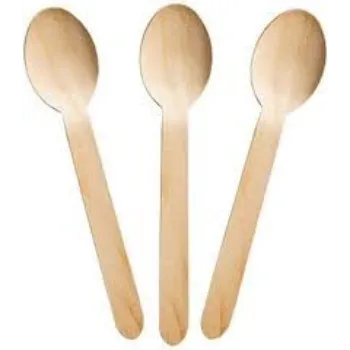  Disposable Spoon