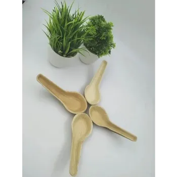 Disposable Spoon