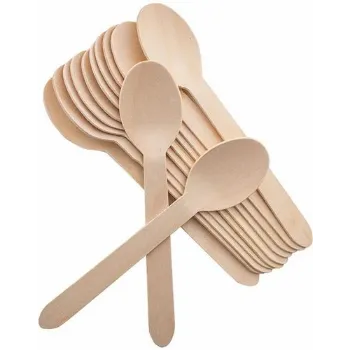  Disposable Spoon