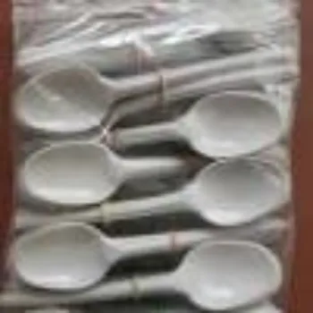 Ragavi Enterprises Disposable Spoon