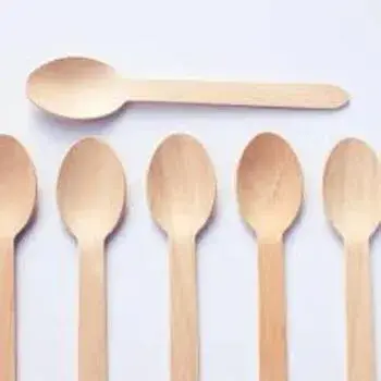 Disposable Spoon