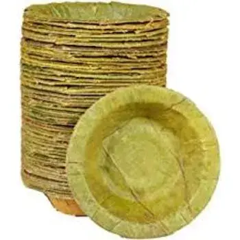 Hard Structure Dona Cups