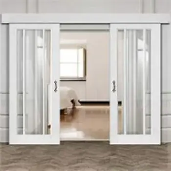 Solid Double Glass Door