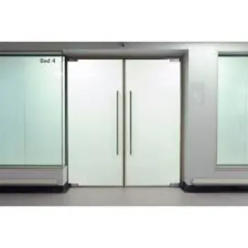 Plain Double Glass Door