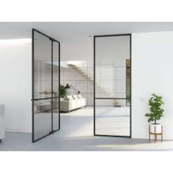 Modern Double Glass Door
