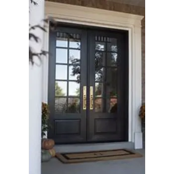 Plain Double Glass Door