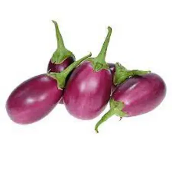 Organic Brinjal 