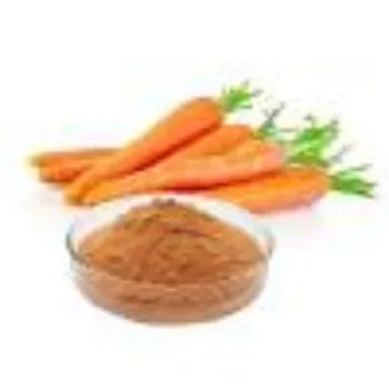 Natural Dried Carrot