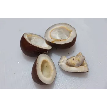 Fresh  Dried Coconut Trader