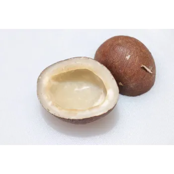 Natural  Dried Coconut