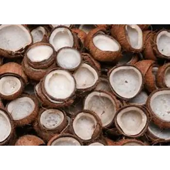 Dried Coconut Manufacturer and Exporter