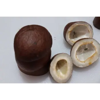 Organic Dried Coconut Trader
