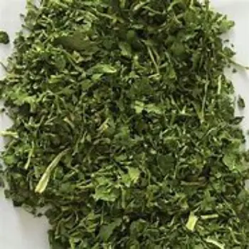 common Dried Coriander Leaves