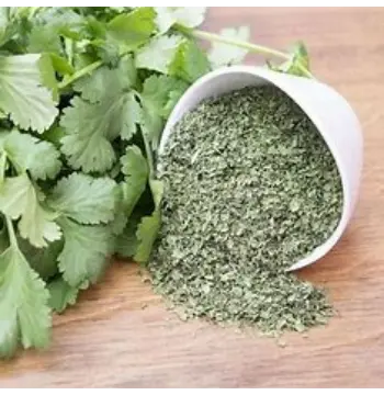 Organic Dried Coriander Leaves