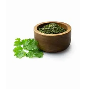 Fresh Dried Coriander Leaves