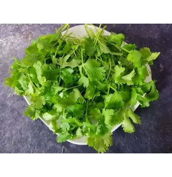 Fresh Dried Coriander Leaves