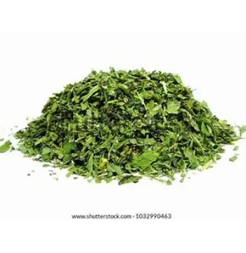 Fresh Dried Coriander Leaves