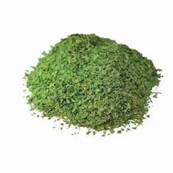 Fresh Dried Coriander Leaves
