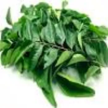 Organic Dried Curry Leaves