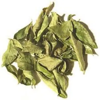 Organic Curry Leaves