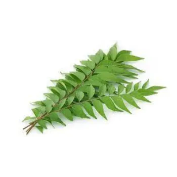 Organic Dried Curry Leaves