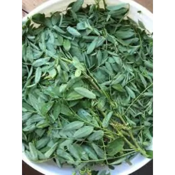 Organic Indigo Leaves