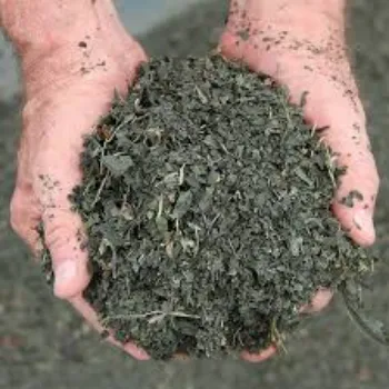 Organic Indigo Leaves