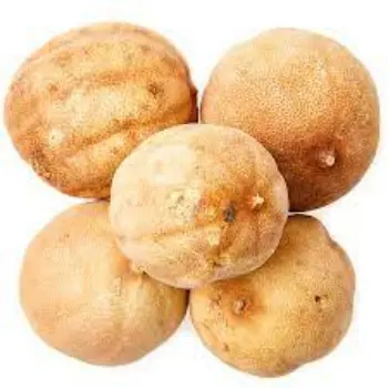 Common Dried Lemon