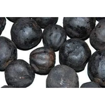 Common Dried Lemon