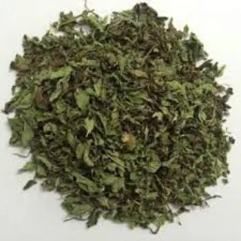 Organic Mint Leaves