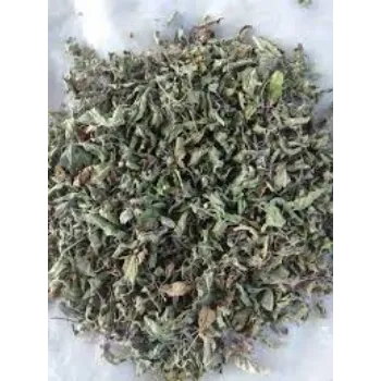 RAJESWARI NURSERY Dried Tulsi Leaves