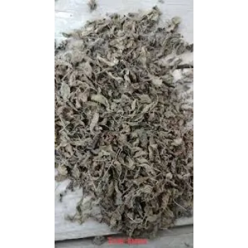 Natural  Dried Tulsi Leaves