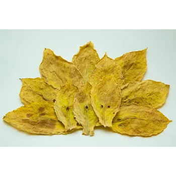 Dried Tulsi Leaves