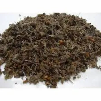 Natural Dried Tulsi Leaves