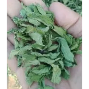 Natural Dried Tulsi Leaves