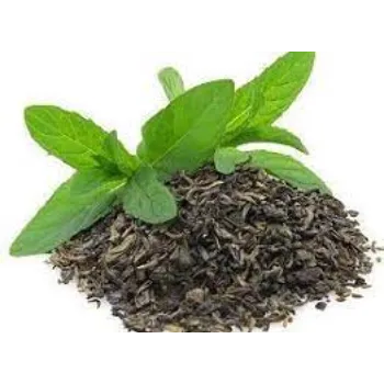 Fresh Tulsi Leaves