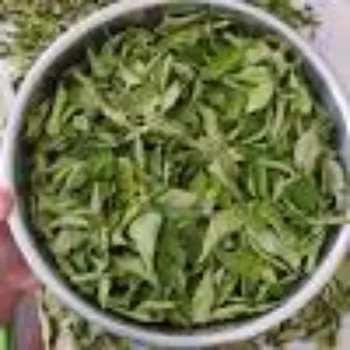 Natural Dried Tulsi Leaves