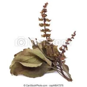 Organic Dried Tulsi Leaves
