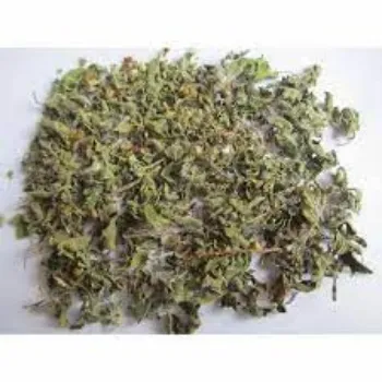 Organic Dried Tulsi Leaves